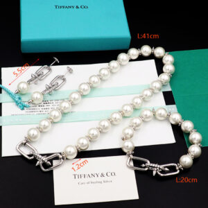 티파니앤코 Tiffany Titan by Pharrell Wiliams