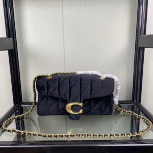 코치 tabby cw607