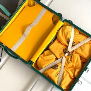 GOYARD 고야드 부흐제 트롤리 PM 캐리어 BOURG2PMLTY09CL09P