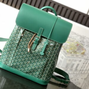 GOYARD 고야드 알팡 백팩 MM 그린 ALPIN2MMLTY09CL09P
